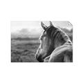 Picture of Horse & the Horizon _GroupedProduct_Rectangle_Landscape_Photography _GroupedProduct_Rectangle_Landscape_Unframed_Print_Only_