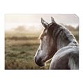 Picture of Horse & the Horizon _GroupedProduct_Rectangle_Landscape_Photography _GroupedProduct_Rectangle_Landscape_Unframed_Print_Only_