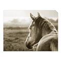 Picture of Horse & the Horizon _GroupedProduct_Rectangle_Landscape_Photography _GroupedProduct_Rectangle_Landscape_Unframed_Print_Only_