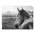 Picture of Horse & the Horizon _GroupedProduct_Rectangle_Landscape_Photography _GroupedProduct_Rectangle_Landscape_Unframed_Print_Only_