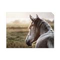 Picture of Horse & the Horizon _GroupedProduct_Rectangle_Landscape_Photography _GroupedProduct_Rectangle_Landscape_Unframed_Print_Only_