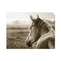 Picture of Horse & the Horizon _GroupedProduct_Rectangle_Landscape_Photography _GroupedProduct_Rectangle_Landscape_Unframed_Print_Only_