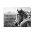 Picture of Horse & the Horizon _GroupedProduct_Rectangle_Landscape_Photography _GroupedProduct_Rectangle_Landscape_Unframed_Print_Only_