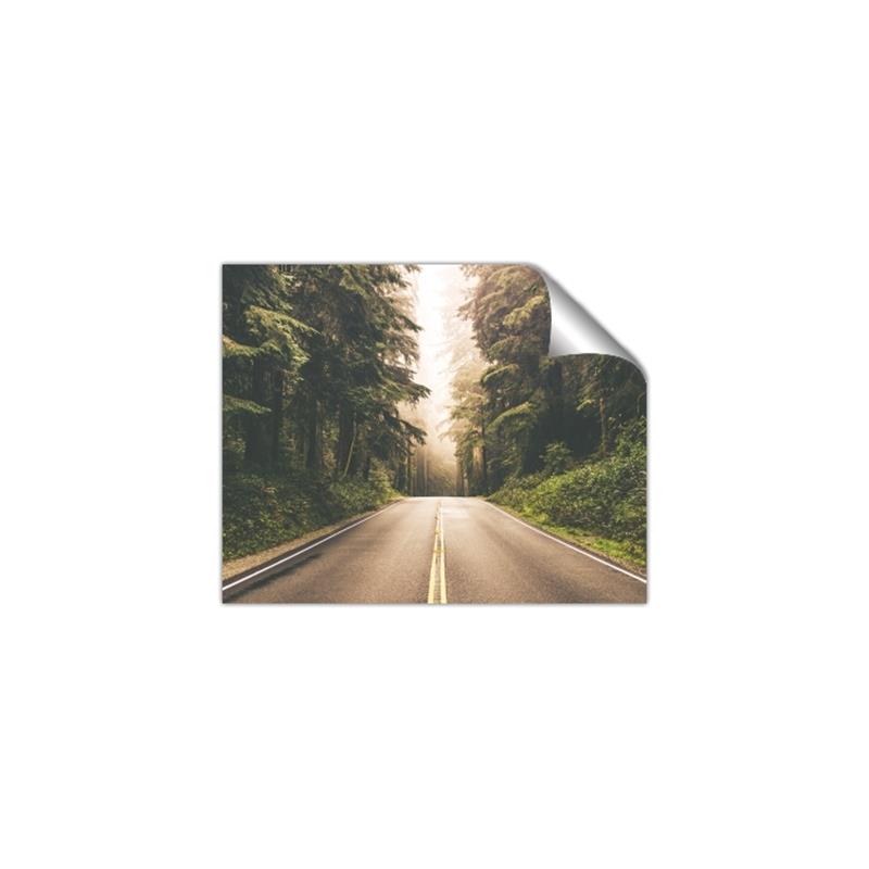 Picture of Foggy Straight Redwood Highway _GroupedProduct_Rectangle_Landscape_Photography _GroupedProduct_Rectangle_Landscape_Unframed_Print_Only_