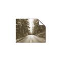 Picture of Foggy Straight Redwood Highway _GroupedProduct_Rectangle_Landscape_Photography _GroupedProduct_Rectangle_Landscape_Unframed_Print_Only_