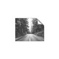 Picture of Foggy Straight Redwood Highway _GroupedProduct_Rectangle_Landscape_Photography _GroupedProduct_Rectangle_Landscape_Unframed_Print_Only_