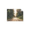 Picture of Foggy Straight Redwood Highway _GroupedProduct_Rectangle_Landscape_Photography _GroupedProduct_Rectangle_Landscape_Unframed_Print_Only_
