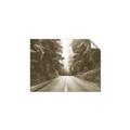 Picture of Foggy Straight Redwood Highway _GroupedProduct_Rectangle_Landscape_Photography _GroupedProduct_Rectangle_Landscape_Unframed_Print_Only_