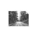 Picture of Foggy Straight Redwood Highway _GroupedProduct_Rectangle_Landscape_Photography _GroupedProduct_Rectangle_Landscape_Unframed_Print_Only_