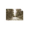 Picture of Foggy Straight Redwood Highway _GroupedProduct_Rectangle_Landscape_Photography _GroupedProduct_Rectangle_Landscape_Unframed_Print_Only_