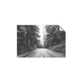 Picture of Foggy Straight Redwood Highway _GroupedProduct_Rectangle_Landscape_Photography _GroupedProduct_Rectangle_Landscape_Unframed_Print_Only_