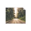 Picture of Foggy Straight Redwood Highway _GroupedProduct_Rectangle_Landscape_Photography _GroupedProduct_Rectangle_Landscape_Unframed_Print_Only_