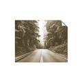 Picture of Foggy Straight Redwood Highway _GroupedProduct_Rectangle_Landscape_Photography _GroupedProduct_Rectangle_Landscape_Unframed_Print_Only_