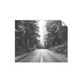 Picture of Foggy Straight Redwood Highway _GroupedProduct_Rectangle_Landscape_Photography _GroupedProduct_Rectangle_Landscape_Unframed_Print_Only_