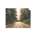 Picture of Foggy Straight Redwood Highway _GroupedProduct_Rectangle_Landscape_Photography _GroupedProduct_Rectangle_Landscape_Unframed_Print_Only_
