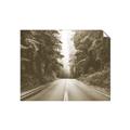 Picture of Foggy Straight Redwood Highway _GroupedProduct_Rectangle_Landscape_Photography _GroupedProduct_Rectangle_Landscape_Unframed_Print_Only_
