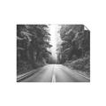 Picture of Foggy Straight Redwood Highway _GroupedProduct_Rectangle_Landscape_Photography _GroupedProduct_Rectangle_Landscape_Unframed_Print_Only_