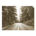 Picture of Foggy Straight Redwood Highway _GroupedProduct_Rectangle_Landscape_Photography _GroupedProduct_Rectangle_Landscape_Unframed_Print_Only_