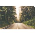 Picture of Foggy Straight Redwood Highway _GroupedProduct_Rectangle_Landscape_Photography _GroupedProduct_Rectangle_Landscape_Unframed_Print_Only_