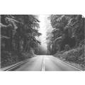 Picture of Foggy Straight Redwood Highway _GroupedProduct_Rectangle_Landscape_Photography _GroupedProduct_Rectangle_Landscape_Unframed_Print_Only_