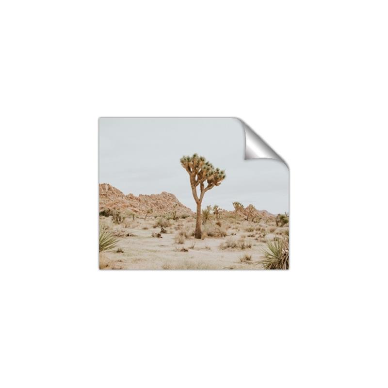 Picture of Dessert Tree _GroupedProduct_Rectangle_Landscape_Photography _GroupedProduct_Rectangle_Landscape_Unframed_Print_Only_