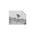 Picture of Dessert Tree _GroupedProduct_Rectangle_Landscape_Photography _GroupedProduct_Rectangle_Landscape_Unframed_Print_Only_