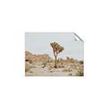Picture of Dessert Tree _GroupedProduct_Rectangle_Landscape_Photography _GroupedProduct_Rectangle_Landscape_Unframed_Print_Only_