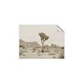 Picture of Dessert Tree _GroupedProduct_Rectangle_Landscape_Photography _GroupedProduct_Rectangle_Landscape_Unframed_Print_Only_