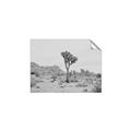 Picture of Dessert Tree _GroupedProduct_Rectangle_Landscape_Photography _GroupedProduct_Rectangle_Landscape_Unframed_Print_Only_