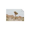 Picture of Dessert Tree _GroupedProduct_Rectangle_Landscape_Photography _GroupedProduct_Rectangle_Landscape_Unframed_Print_Only_