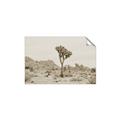 Picture of Dessert Tree _GroupedProduct_Rectangle_Landscape_Photography _GroupedProduct_Rectangle_Landscape_Unframed_Print_Only_