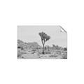 Picture of Dessert Tree _GroupedProduct_Rectangle_Landscape_Photography _GroupedProduct_Rectangle_Landscape_Unframed_Print_Only_