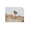 Picture of Dessert Tree _GroupedProduct_Rectangle_Landscape_Photography _GroupedProduct_Rectangle_Landscape_Unframed_Print_Only_