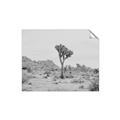 Picture of Dessert Tree _GroupedProduct_Rectangle_Landscape_Photography _GroupedProduct_Rectangle_Landscape_Unframed_Print_Only_