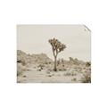 Picture of Dessert Tree _GroupedProduct_Rectangle_Landscape_Photography _GroupedProduct_Rectangle_Landscape_Unframed_Print_Only_