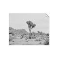 Picture of Dessert Tree _GroupedProduct_Rectangle_Landscape_Photography _GroupedProduct_Rectangle_Landscape_Unframed_Print_Only_