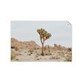 Picture of Dessert Tree _GroupedProduct_Rectangle_Landscape_Photography _GroupedProduct_Rectangle_Landscape_Unframed_Print_Only_
