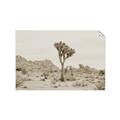 Picture of Dessert Tree _GroupedProduct_Rectangle_Landscape_Photography _GroupedProduct_Rectangle_Landscape_Unframed_Print_Only_