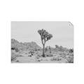 Picture of Dessert Tree _GroupedProduct_Rectangle_Landscape_Photography _GroupedProduct_Rectangle_Landscape_Unframed_Print_Only_