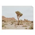 Picture of Dessert Tree _GroupedProduct_Rectangle_Landscape_Photography _GroupedProduct_Rectangle_Landscape_Unframed_Print_Only_