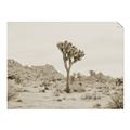 Picture of Dessert Tree _GroupedProduct_Rectangle_Landscape_Photography _GroupedProduct_Rectangle_Landscape_Unframed_Print_Only_