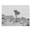 Picture of Dessert Tree _GroupedProduct_Rectangle_Landscape_Photography _GroupedProduct_Rectangle_Landscape_Unframed_Print_Only_