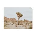 Picture of Dessert Tree _GroupedProduct_Rectangle_Landscape_Photography _GroupedProduct_Rectangle_Landscape_Unframed_Print_Only_