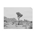 Picture of Dessert Tree _GroupedProduct_Rectangle_Landscape_Photography _GroupedProduct_Rectangle_Landscape_Unframed_Print_Only_