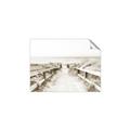 Picture of Path to the Beach II _GroupedProduct_Rectangle_Landscape_Photography _GroupedProduct_Rectangle_Landscape_Unframed_Print_Only_