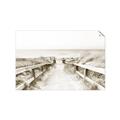 Picture of Path to the Beach II _GroupedProduct_Rectangle_Landscape_Photography _GroupedProduct_Rectangle_Landscape_Unframed_Print_Only_