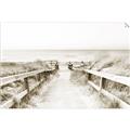 Picture of Path to the Beach II _GroupedProduct_Rectangle_Landscape_Photography _GroupedProduct_Rectangle_Landscape_Unframed_Print_Only_