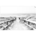 Picture of Path to the Beach II _GroupedProduct_Rectangle_Landscape_Photography _GroupedProduct_Rectangle_Landscape_Unframed_Print_Only_