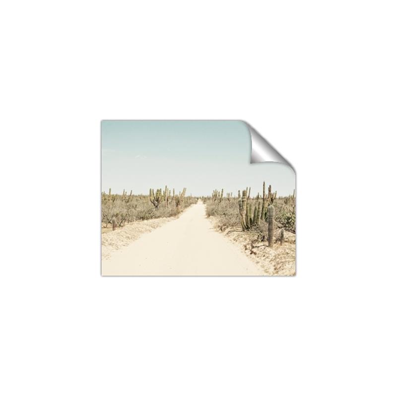 Picture of Cactus Row _GroupedProduct_Rectangle_Landscape_Photography _GroupedProduct_Rectangle_Landscape_Unframed_Print_Only_