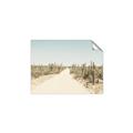 Picture of Cactus Row _GroupedProduct_Rectangle_Landscape_Photography _GroupedProduct_Rectangle_Landscape_Unframed_Print_Only_